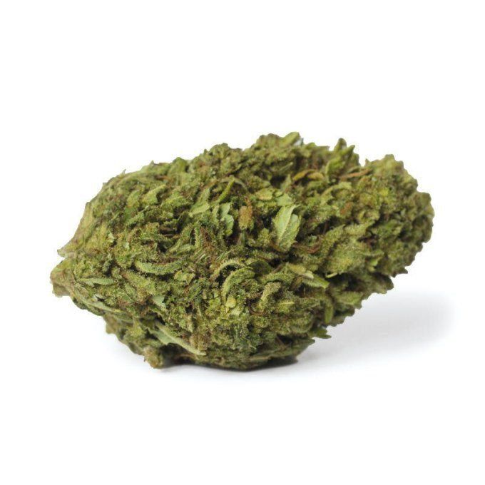 AMNESIA - Fleur greenhouse