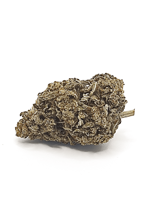 BUDDA KUSH - Fleur greenhouse